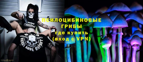 винт Алексин